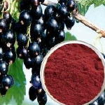 black-currant-extract1